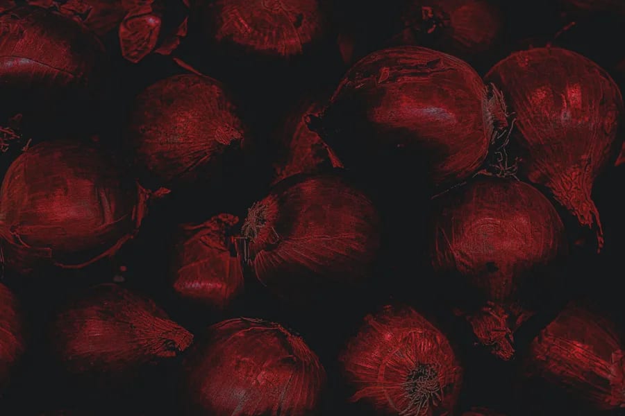 I Saw Your Data on the Dark Web