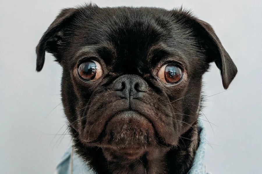 Security Breaches Are Your Fault