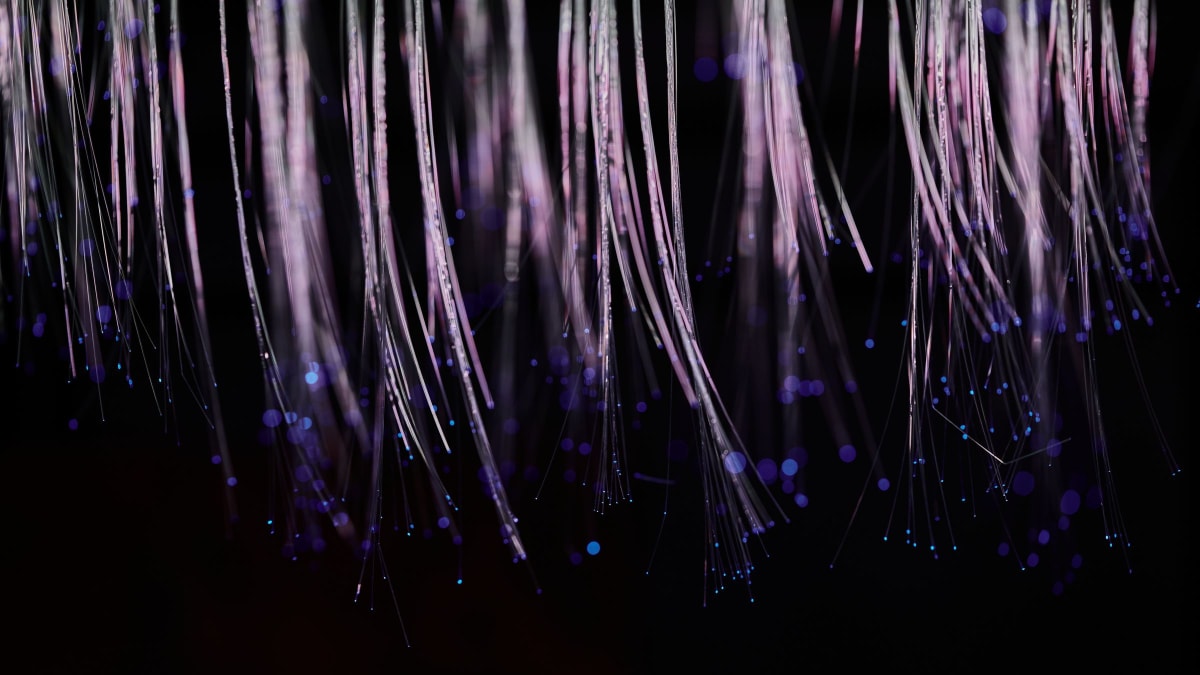 Illuminated fibre-optic strands trailing downward against a black background.