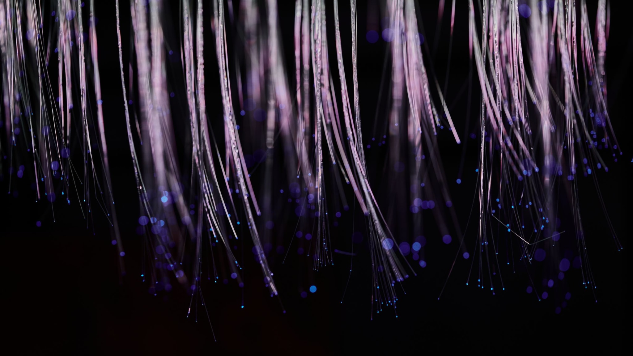 Illuminated fibre-optic strands trailing downward against a black background.