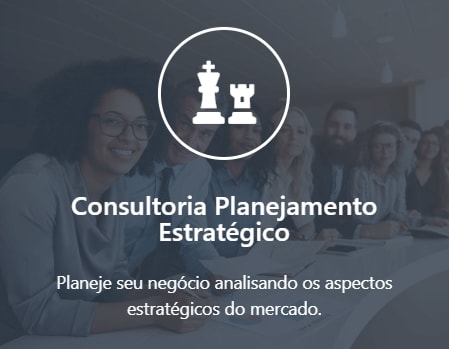 Planejamento Estratégico - Pacote 14hrs.