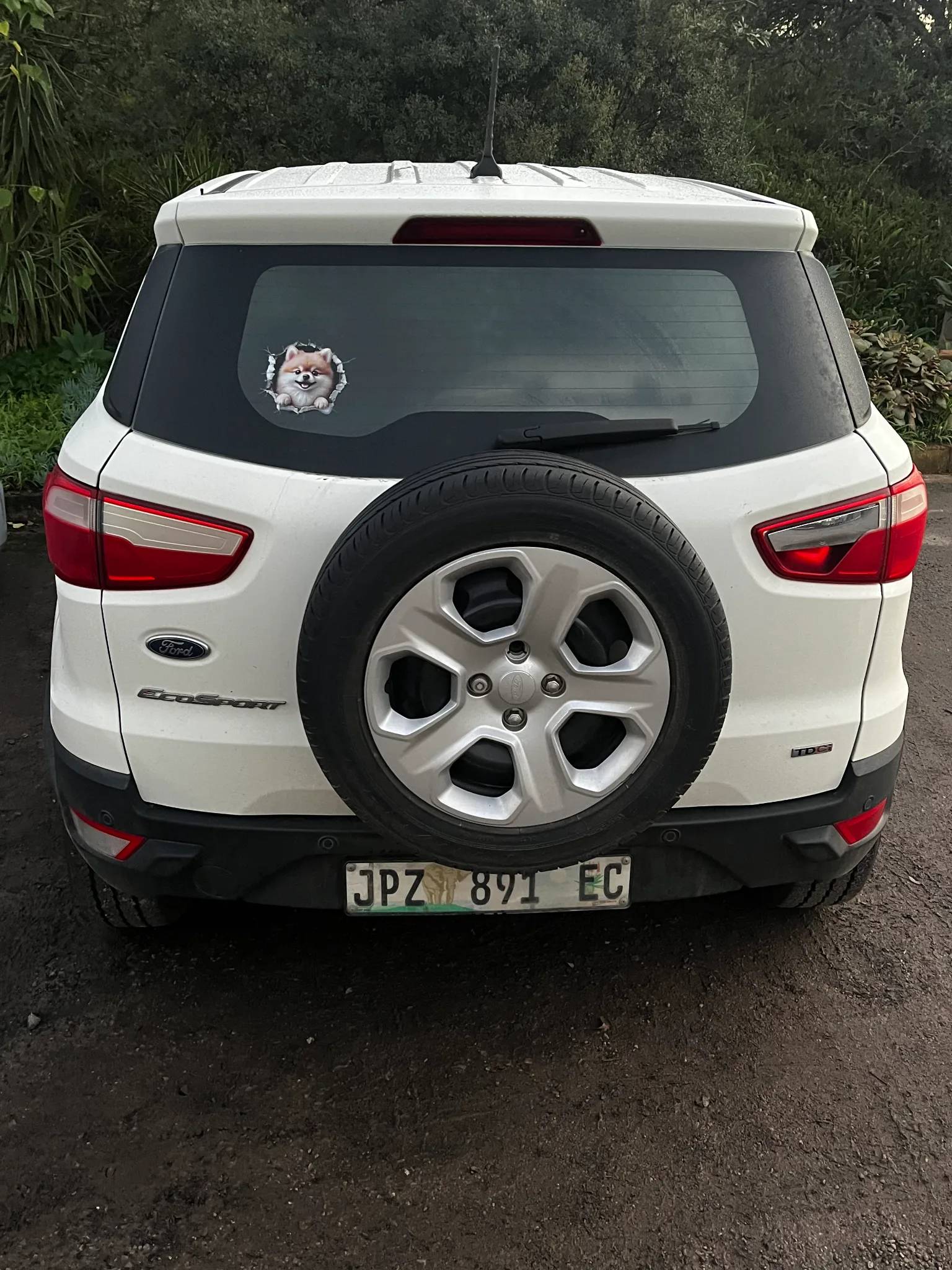 Ford EcoSport 2020 - rear photo 3