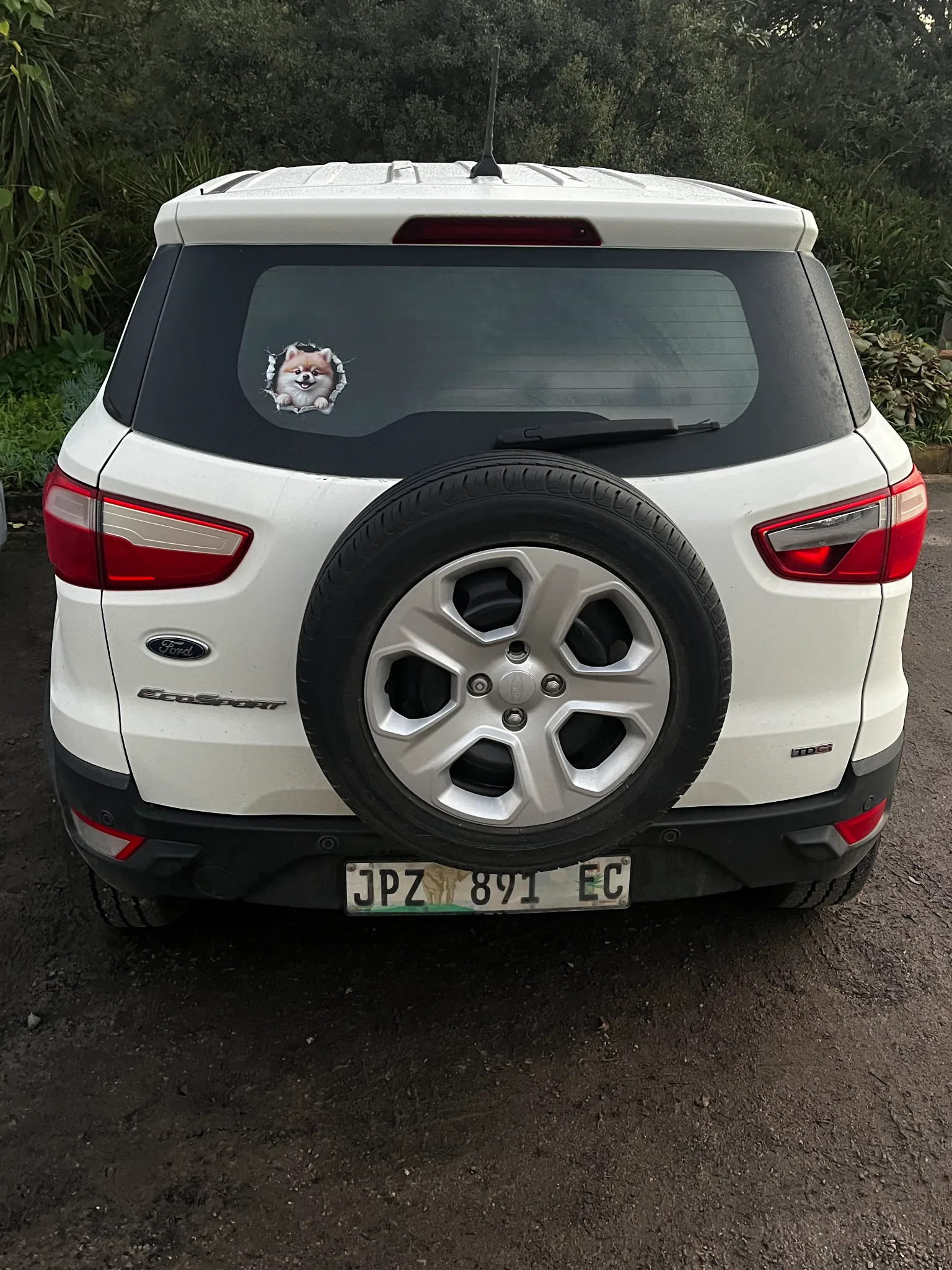 Ford EcoSport 2020 - rear photo 3