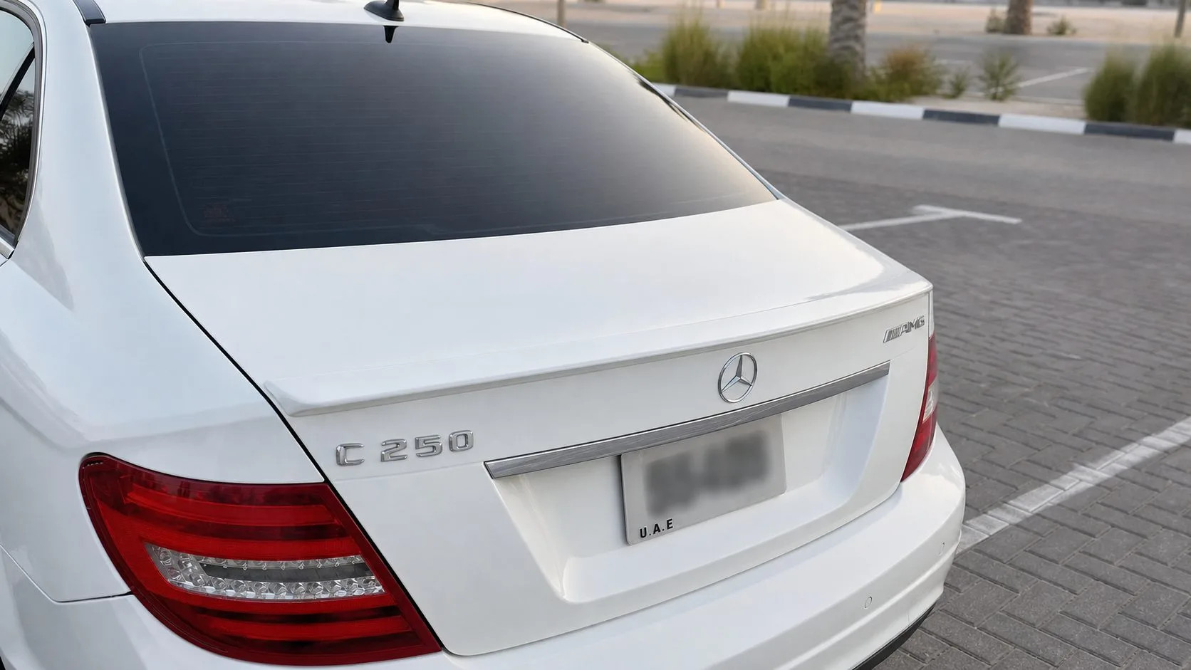 Mercedes-Benz C-Class 2013 - rear-left photo 4