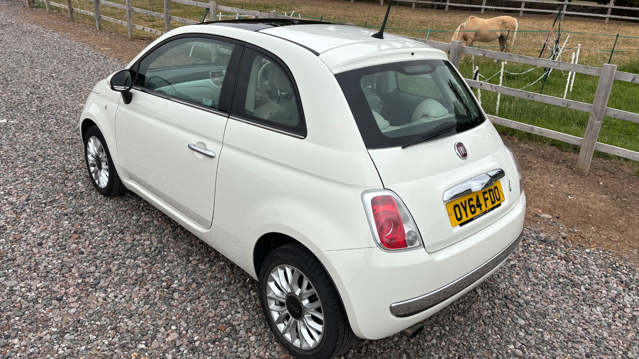 FIAT 500 2014 - rear-right photo 5