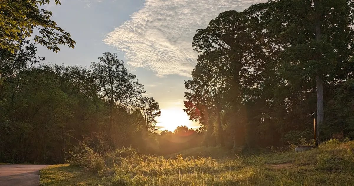 A photo of a sunrise over a grassy hill in a park