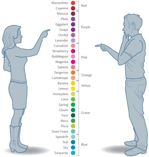 A diagram showing an array of colors spanning the spectrum, with a female-presenting person on the left having unique words associated with each color, and the male-presenting person having far fewer. For example: teal, seafoam, and turquoise vs blue.