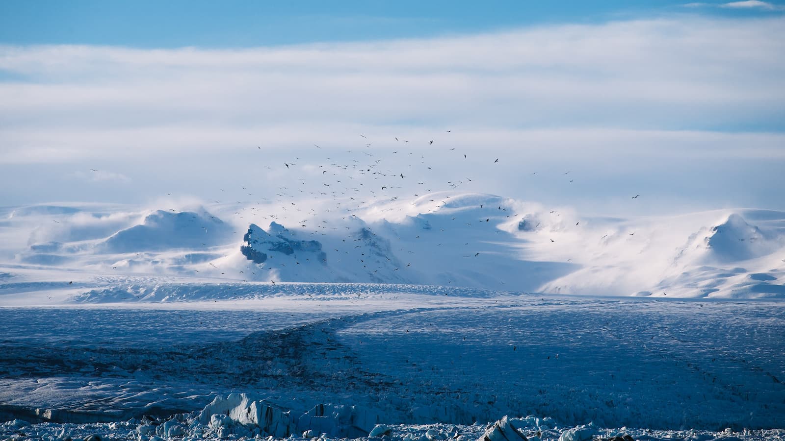 A snowy landscape