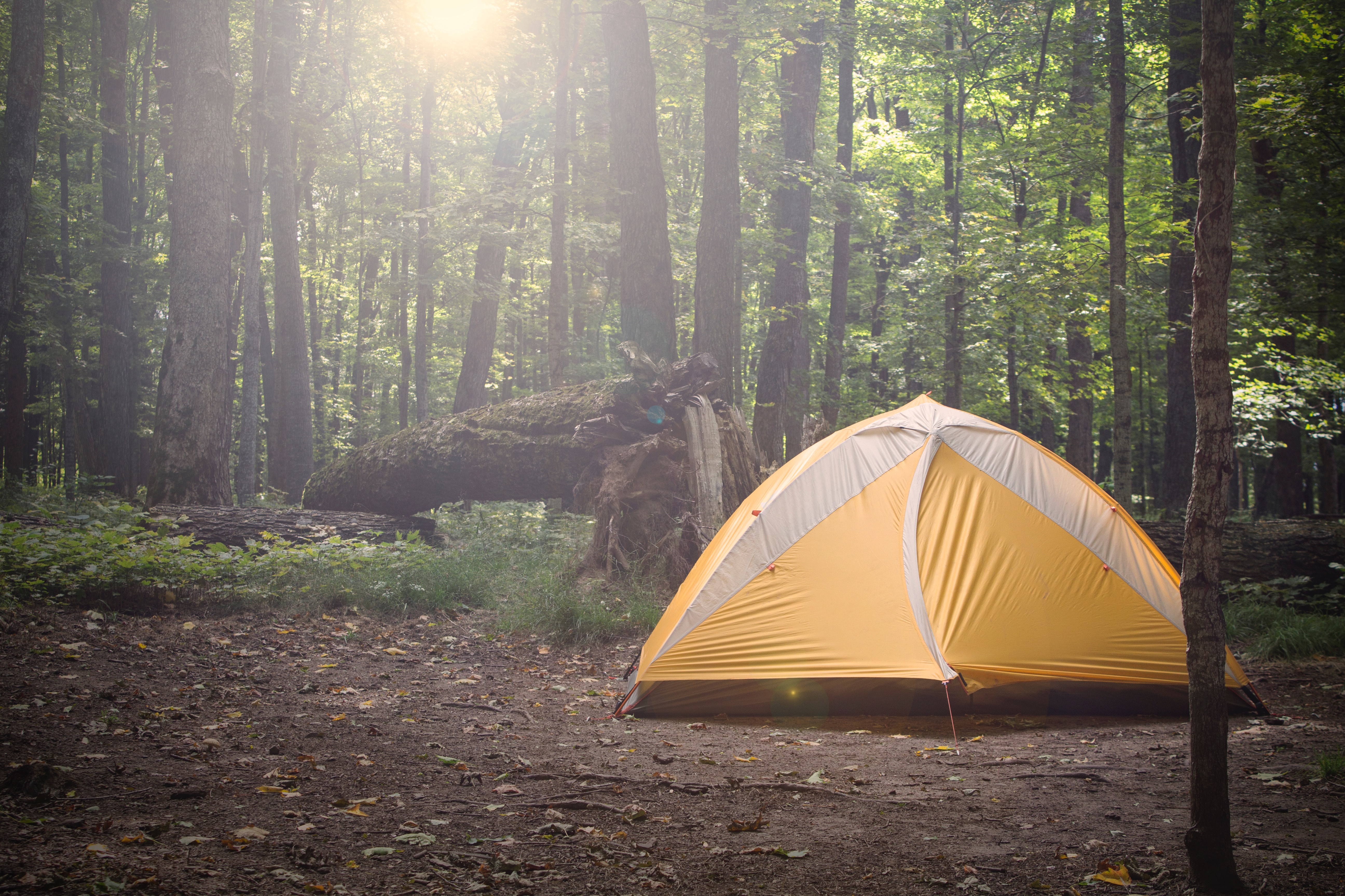 Best Sun Camp