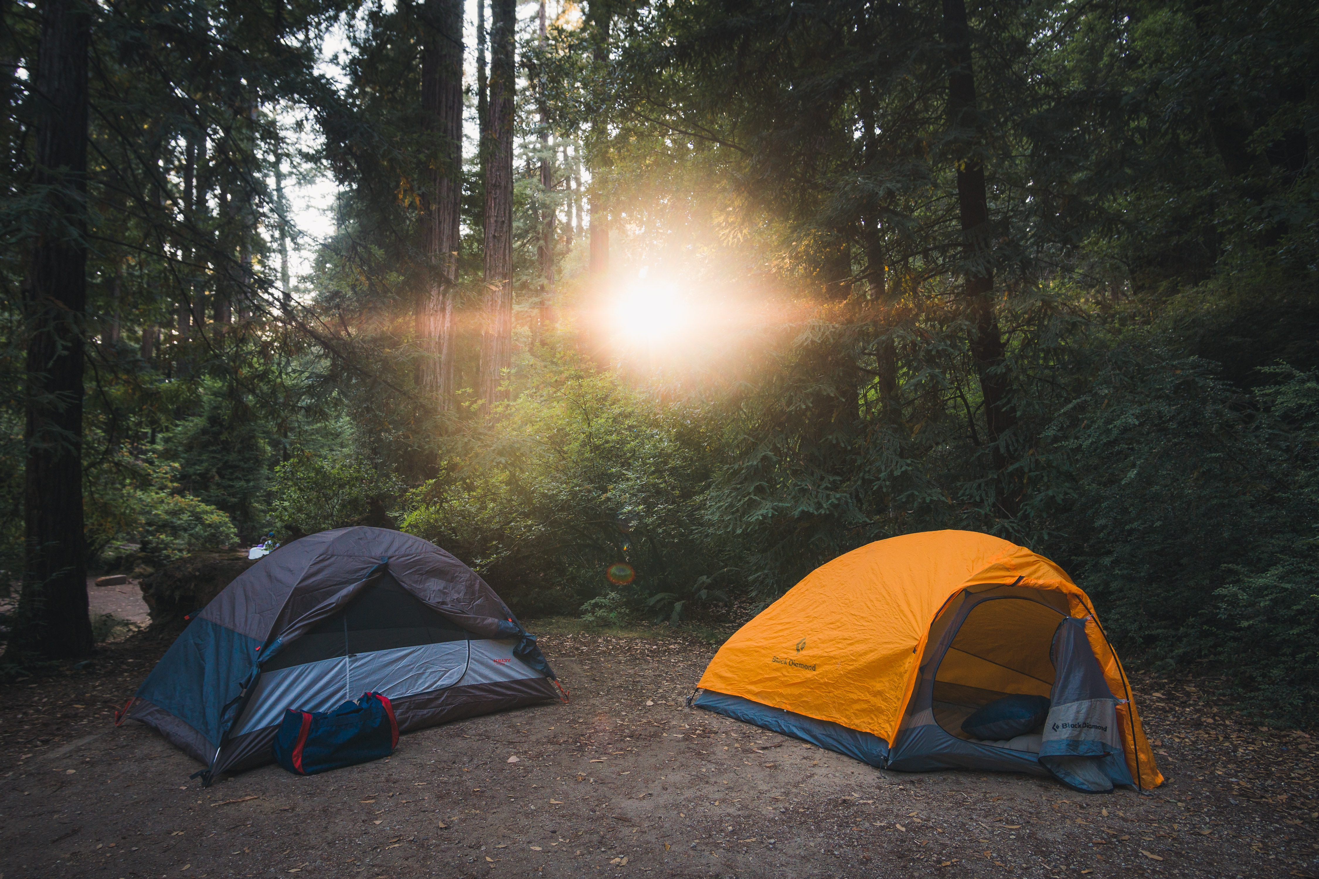Forest Camp