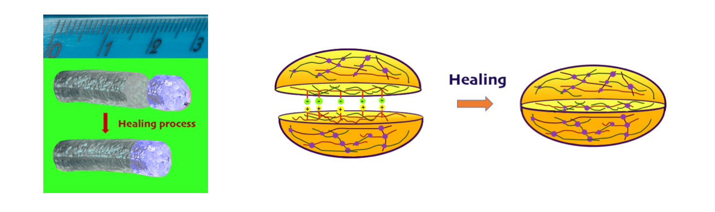 Self-healing hydrogel.png