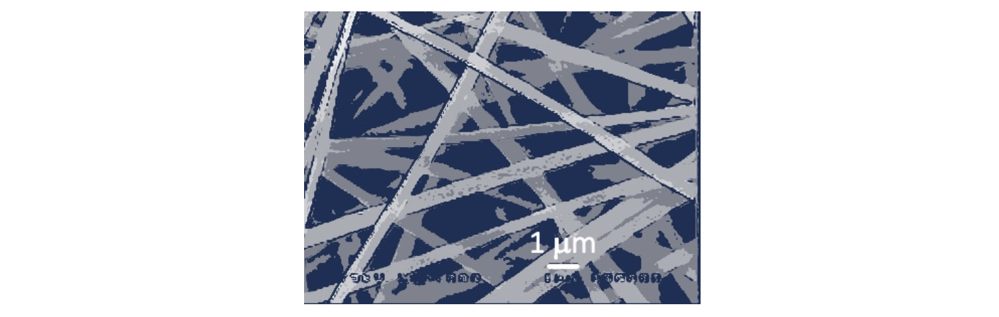 Scanning electron microscopy of an electrospun nanofiber mat. .png