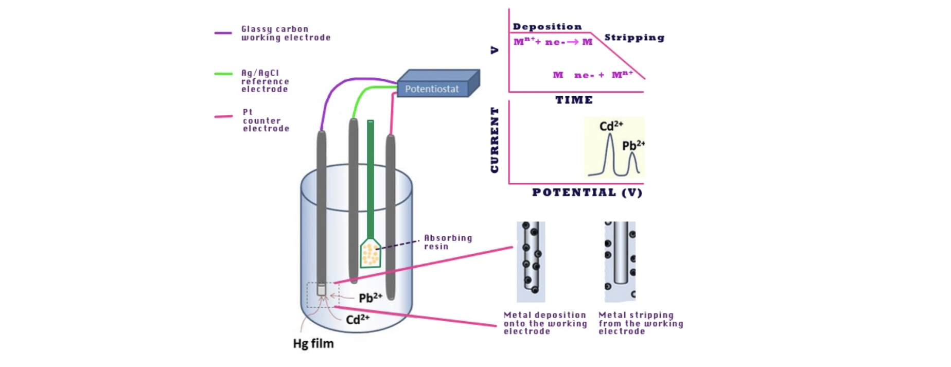 Experimental set up used for monitoring heavy metal ion absorption by cyclic voltammetry.png