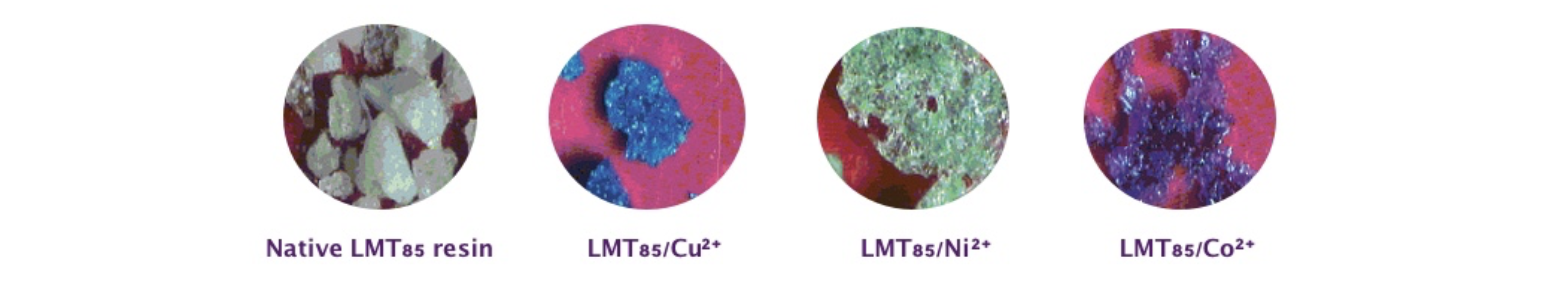 Coloring of LMT85 samples after absorption of heavy metal ions.png