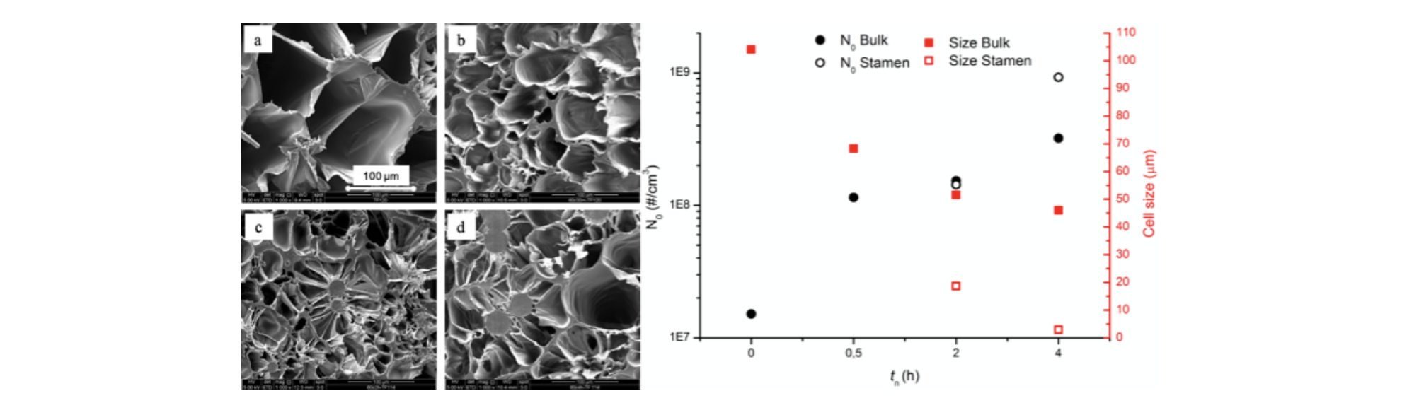 Foam morphology and bubble number density and average diameter as a function of nucleation time.png