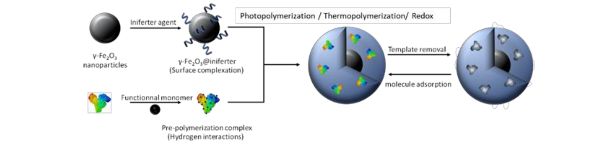 Synthetic process used to synthesize magnetic MIP nanoparticles.png