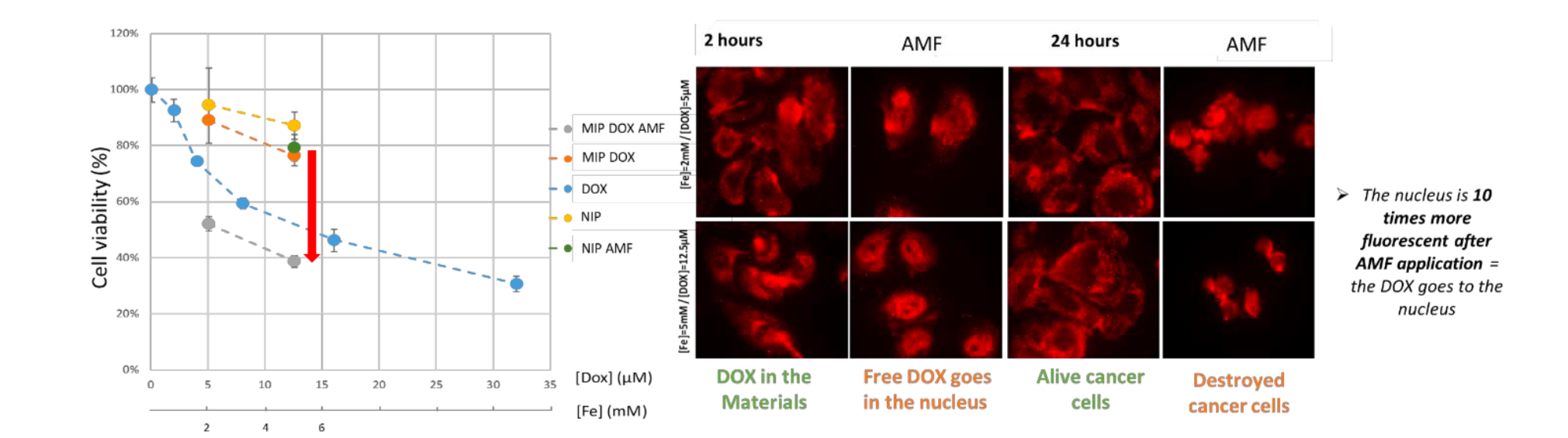 PC-3 cancer cell metabolic activity .png