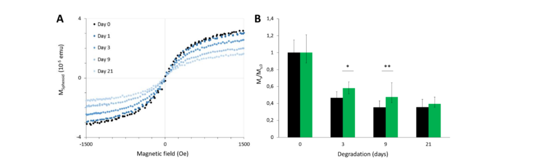 Magnetic follow-up of the maghemite nanoparticles .png