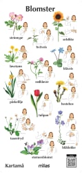 Tegn til tale, Blomster