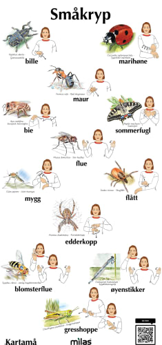 Tegn til tale, Småkryp