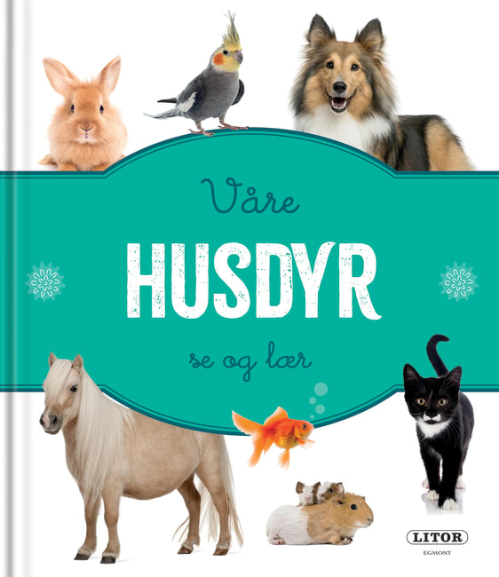 Pekebok våre husdyr