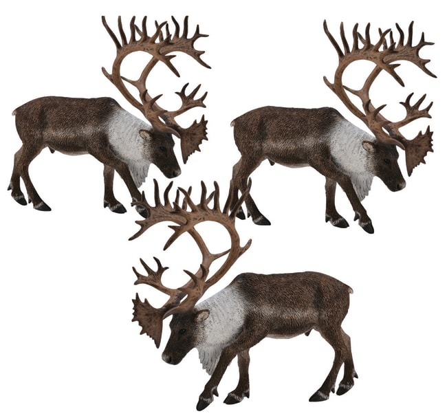 Reinsdyr, sett med 3 stk