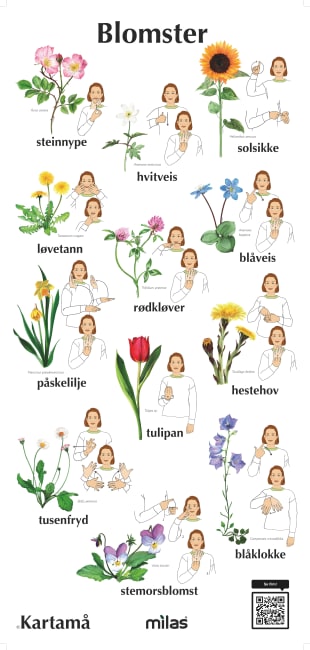 Tegn til tale, Blomster