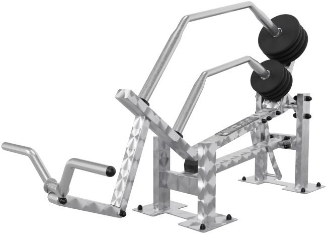 IVE Gym i rustfritt stål. Biceps