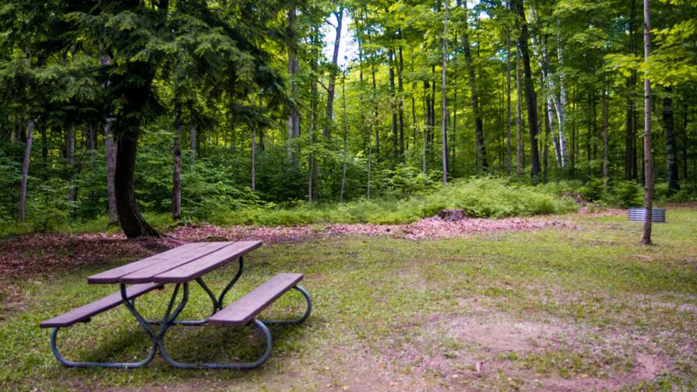 Forest Lake State Forest Campground | Michigan