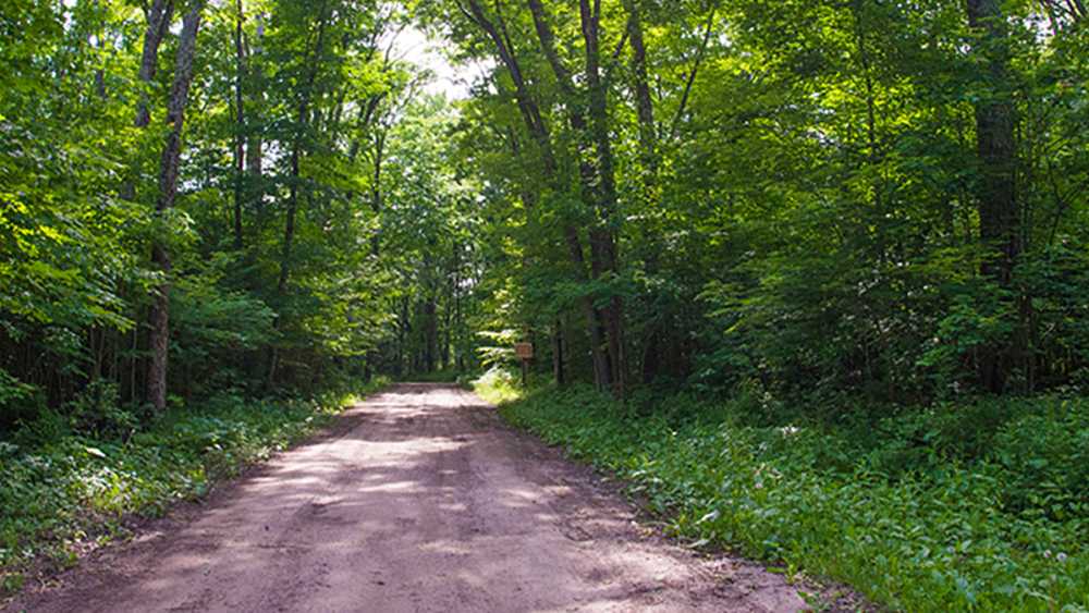 Black River State Forest Campground Michigan