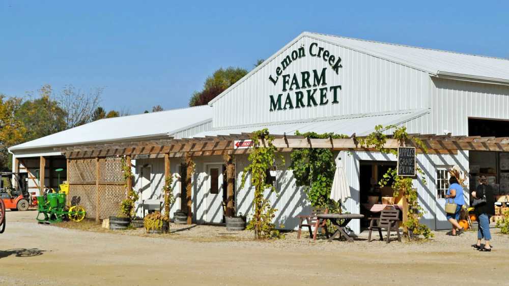 Fruitful Vine Winery Tours Michigan