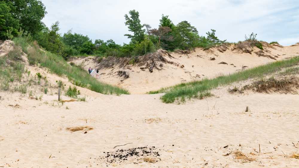 Saugatuck Dunes State Park Michigan