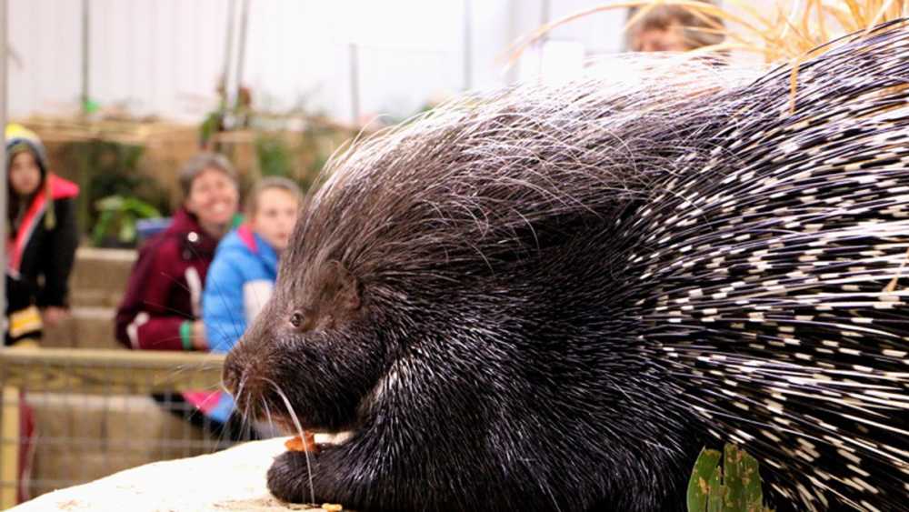 The Creature Conservancy Michigan