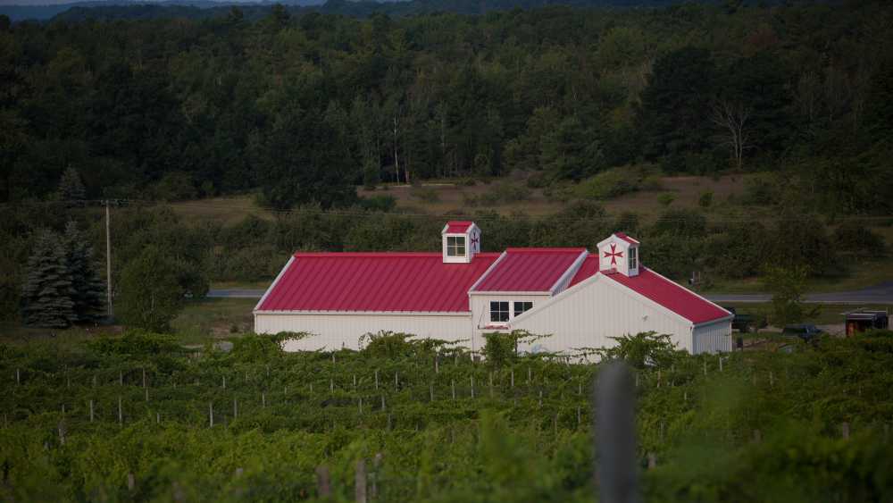 Tabone Vineyards Michigan