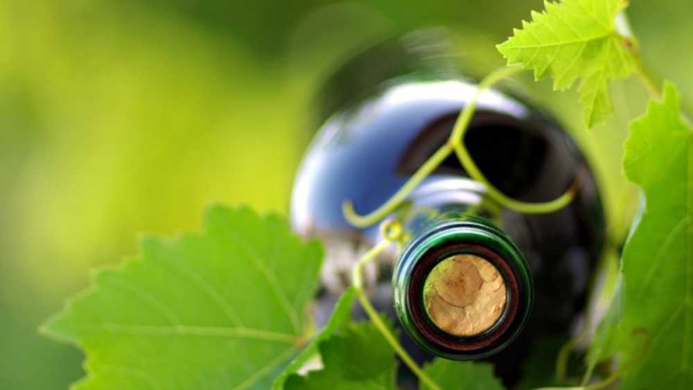 Southeast Michigan Pioneer Wine Trail Michigan
