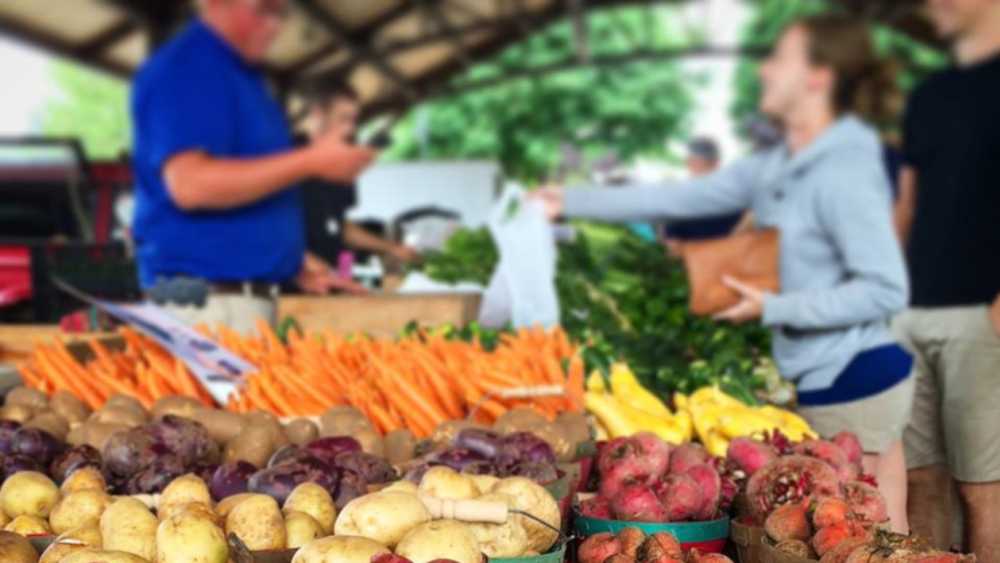 South Haven Farmer S Market Michigan