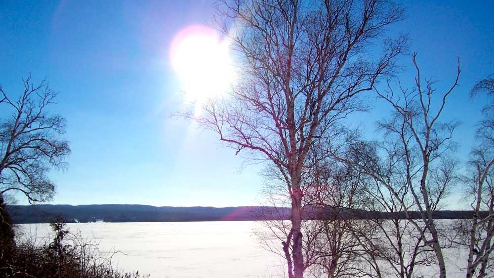 The Barn Cottage Michigan