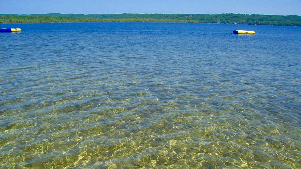 The Barn Cottage Michigan