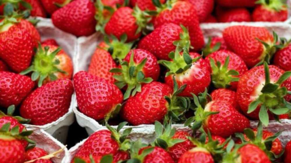 Croswell Stockyards Flea Market Michigan