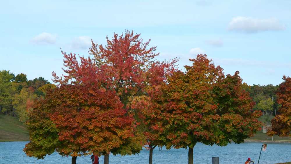 Camp Dearborn Michigan