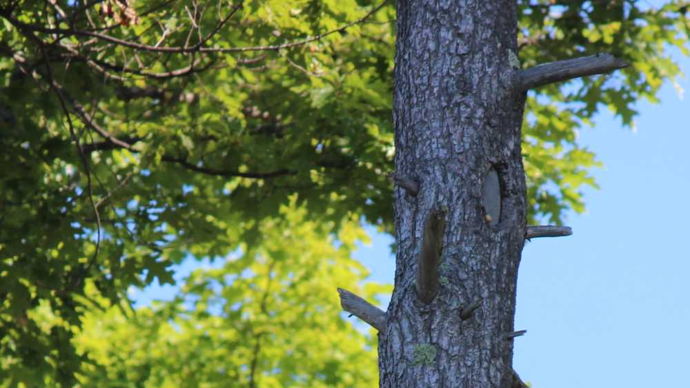 The Dock Grill & Bar | Michigan