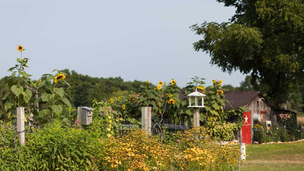 Applesauce Inn Bed and Breakfast Michigan