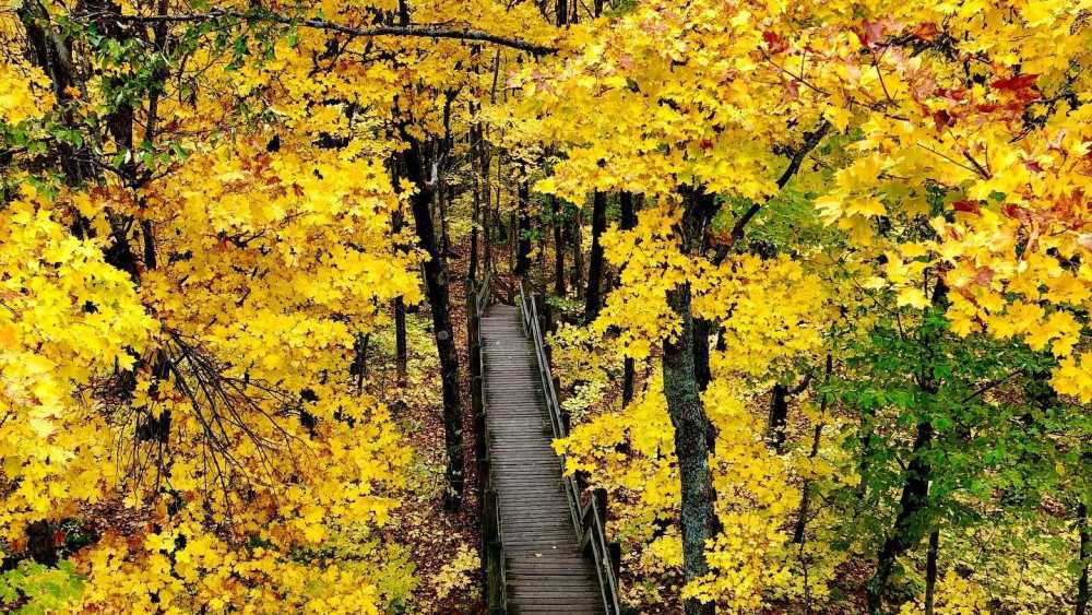 Porcupine MtsGovernment Peak Trail Michigan