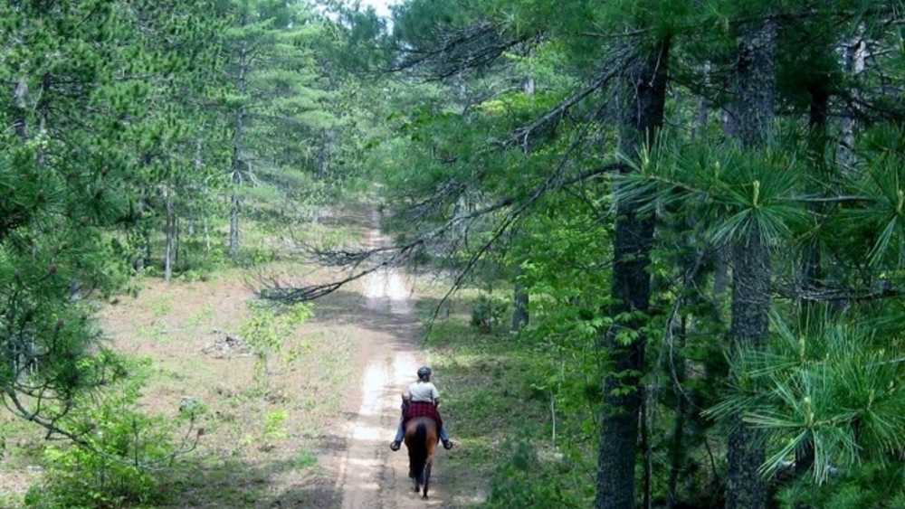Headquarters Lake Equestrian Trails Michigan