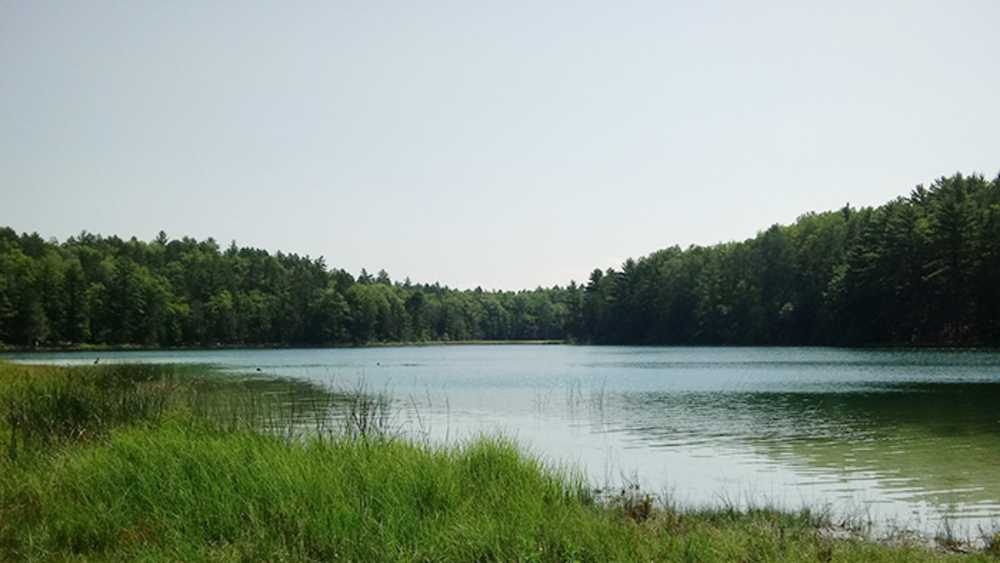 Sand Lakes Quiet Area Pathway Michigan