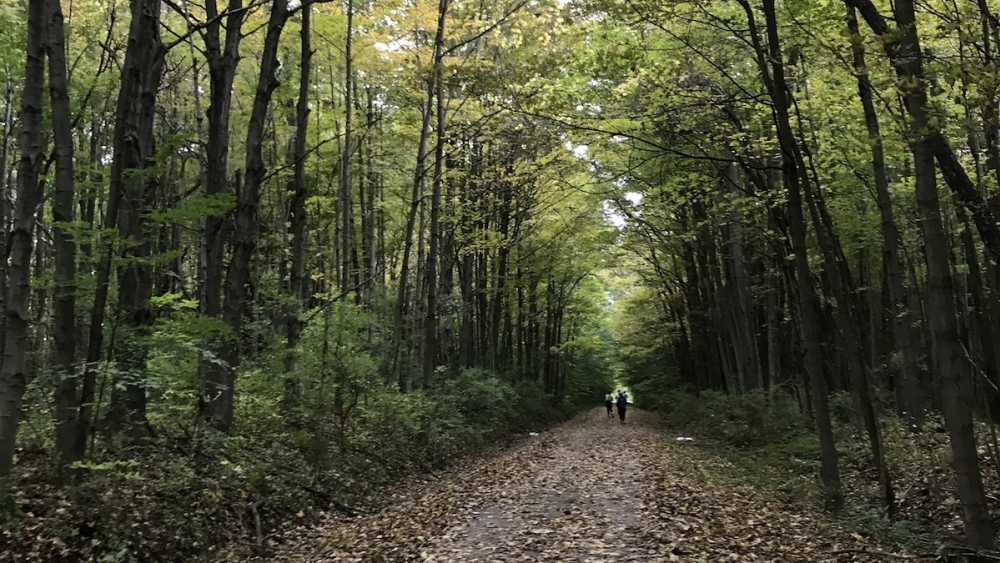 kal haven trail parking