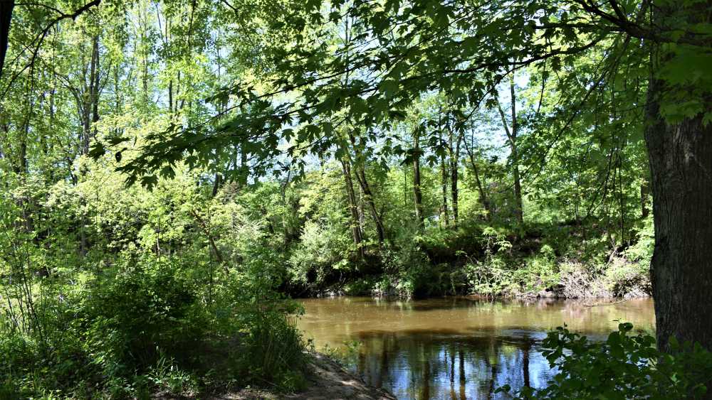 Coldwater River Park Michigan