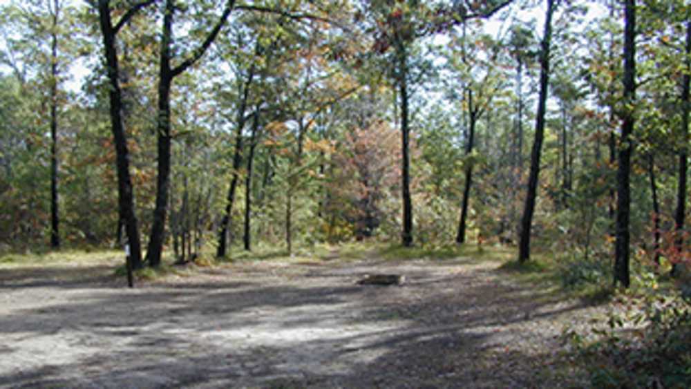 acorn campground au sable river michigan