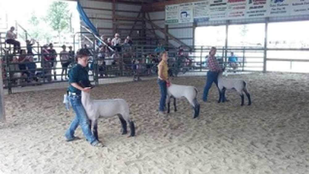 Van Buren County Fair Grounds Michigan