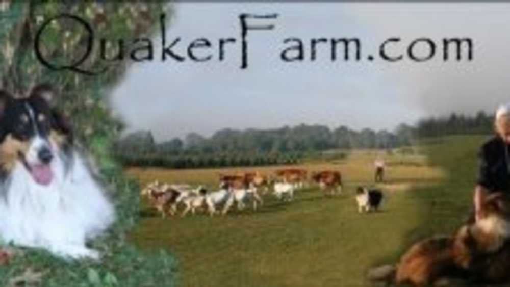 Quaker Hill Farm Michigan